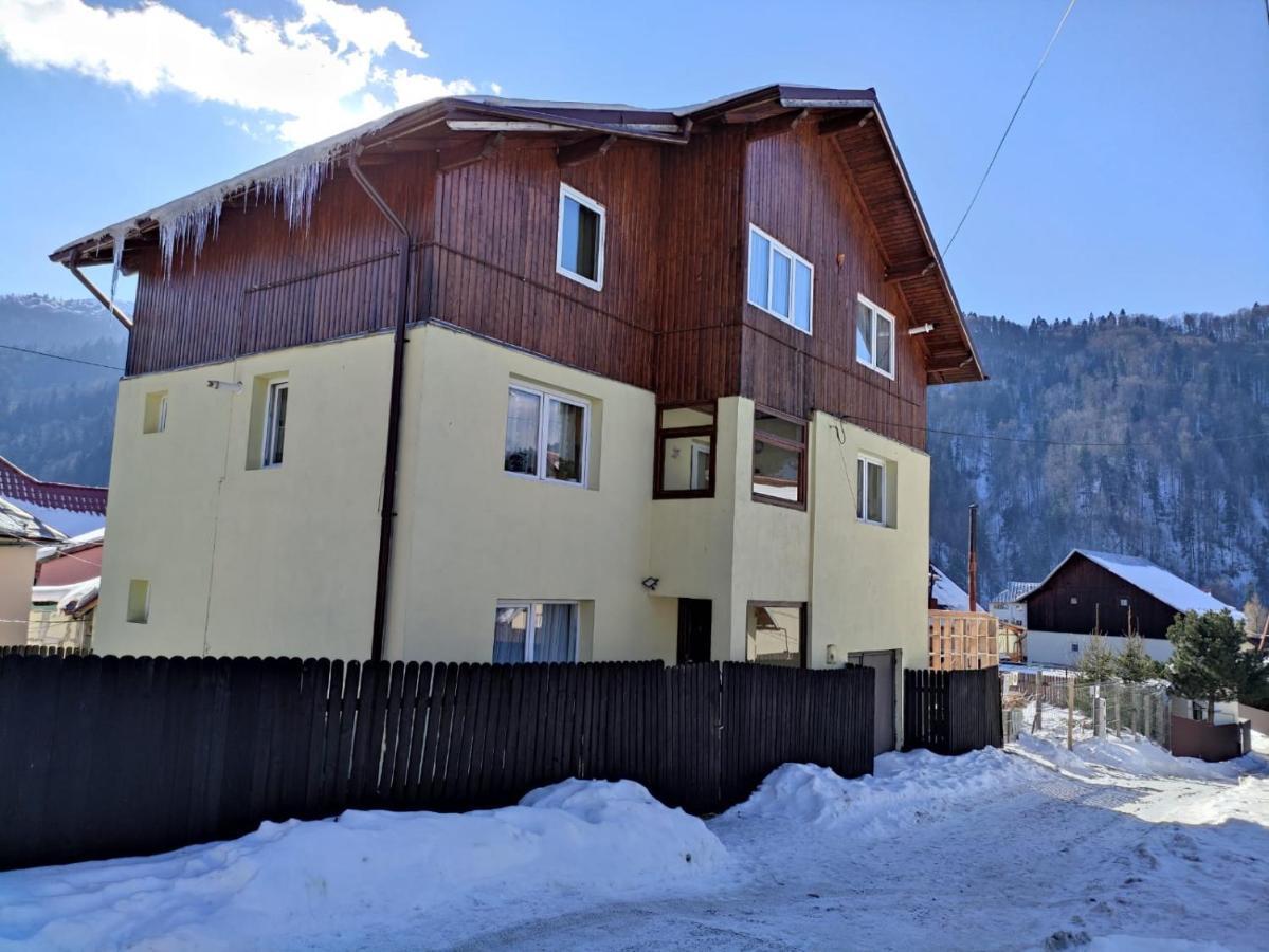 Cozy Attic Azuga Exterior photo